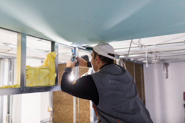 Best Cellulose Insulation  in Redwood Falls, MN