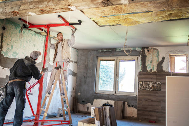 Best Insulation Inspection Services  in Redwood Falls, MN