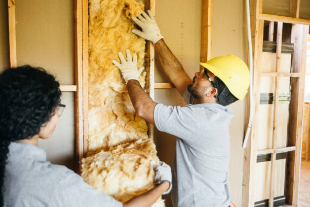 Best Energy-efficient Insulation  in Redwood Falls, MN