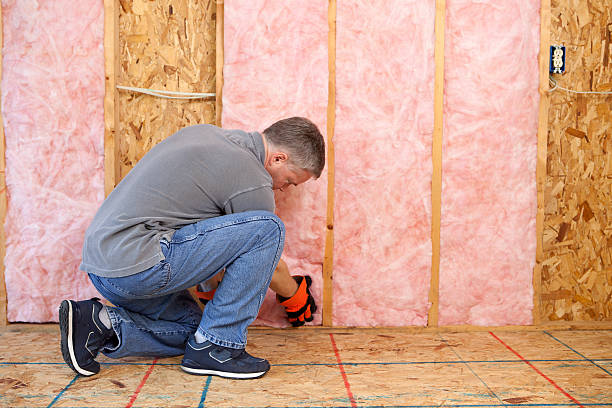 Best Home Insulation Services  in Redwood Falls, MN