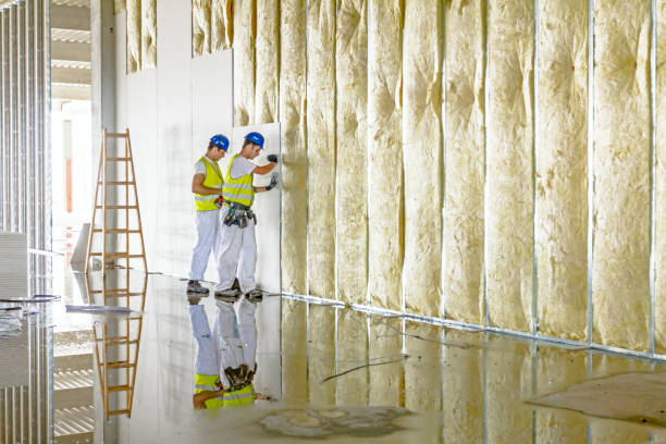 Garage Insulation Installation in Redwood Falls, MN
